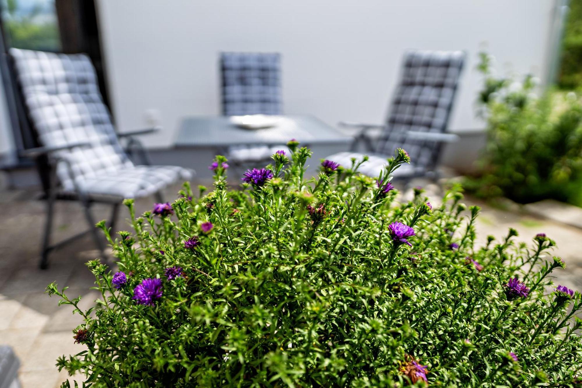 Appartement 2 - Duenenblick Börgerende-Rethwisch Buitenkant foto